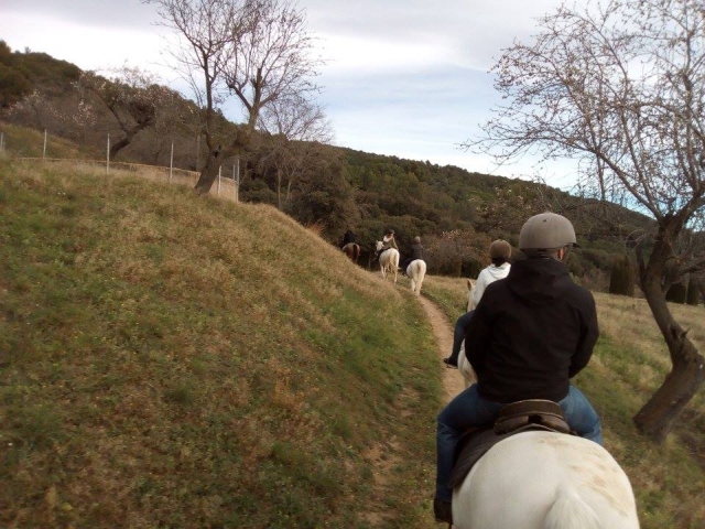 Excursión a caballo por el Montseny 