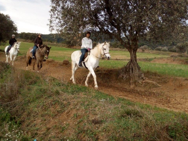 Conoce el Montseny a caballo