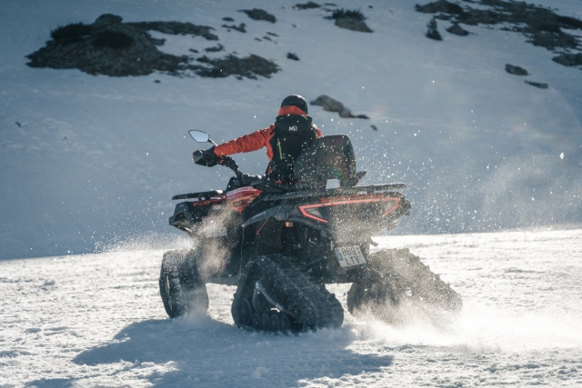 Snowmobiles 