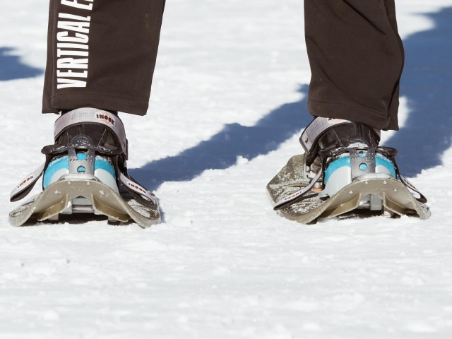  Departures every day 