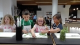 Campus urbano cocina + inglés Donosusted, 1/2 semanas