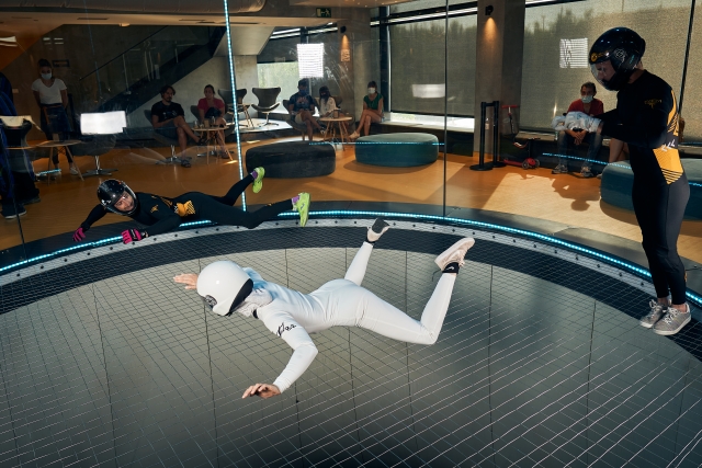  Learning to fly in the wind tunnel 
