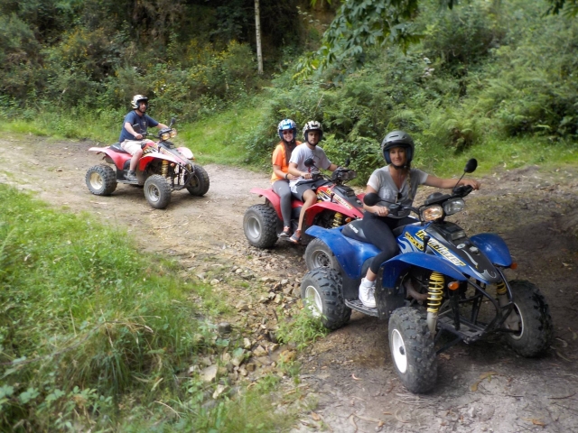  Sentieri immersi nella vegetazione