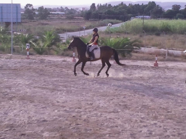  Perfectionnement des techniques d'équitation 