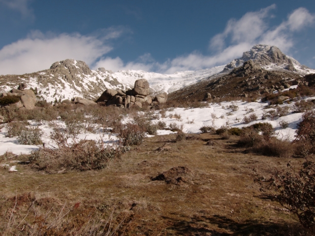 Picos nevados