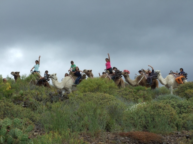 Ruta por nuestra finca al sur de Tenerife