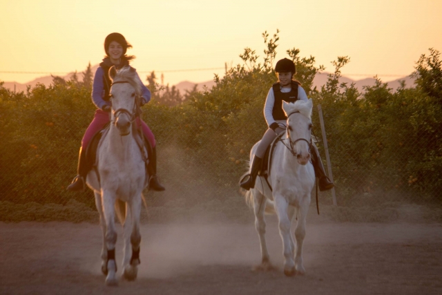  Two people riding horses 