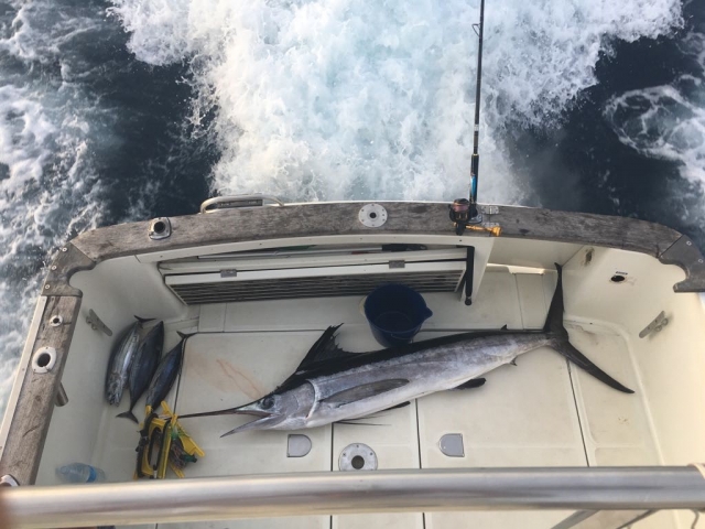  Pesca d'altura a Santurce 