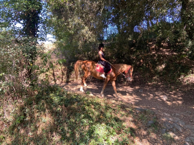  Passeggiata a cavallo a Les Prese