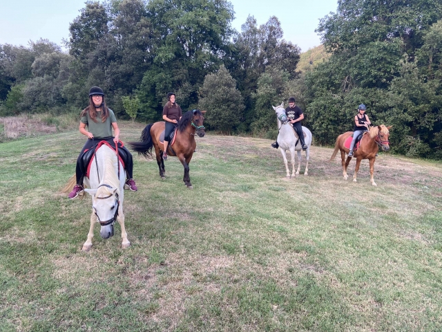  Passeggiata a cavallo nella Garrotxa 