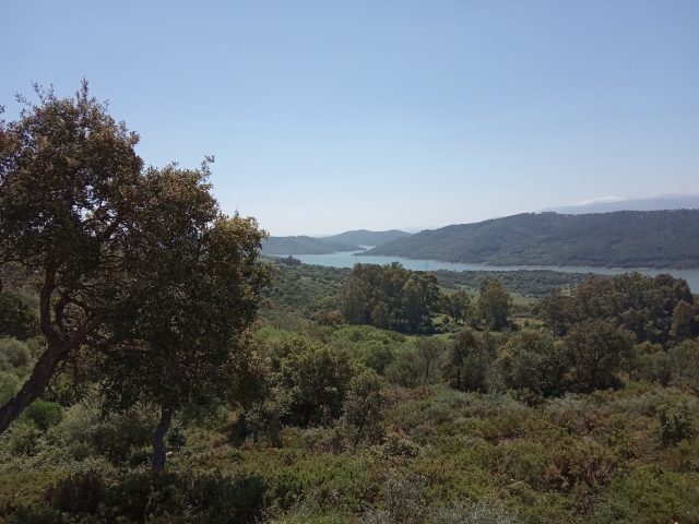 Ciclistas por los bosques de Gibraltar