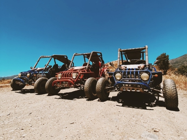 Flota de buggies