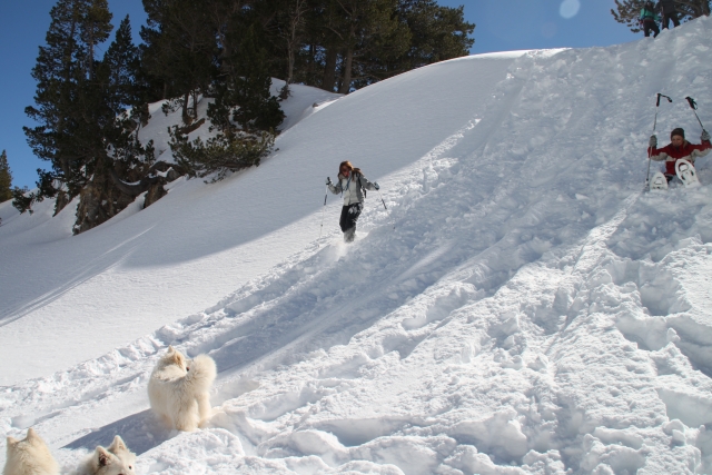  Terreno vergine innevato 