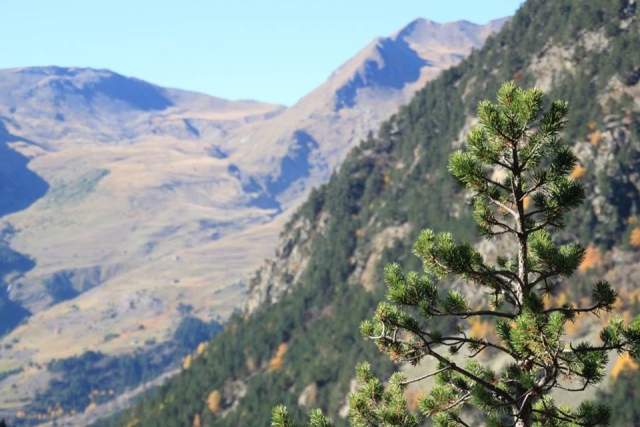  Nature dans les Pyrénées 