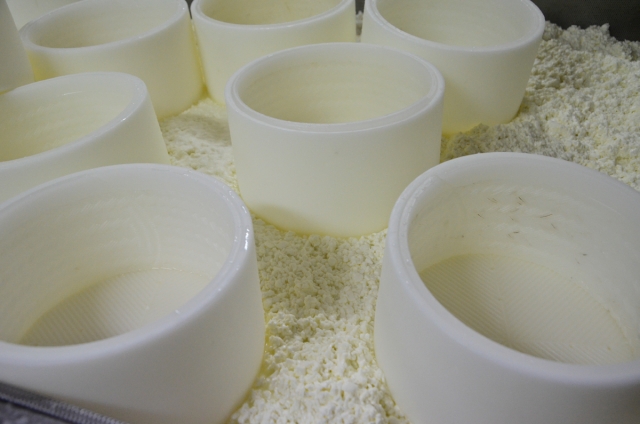 Elaboracion del queso