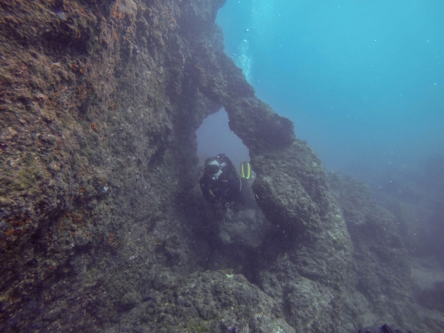  Curiosities of the seabed 