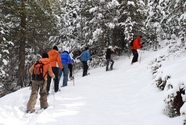 Group snowshoe outings 