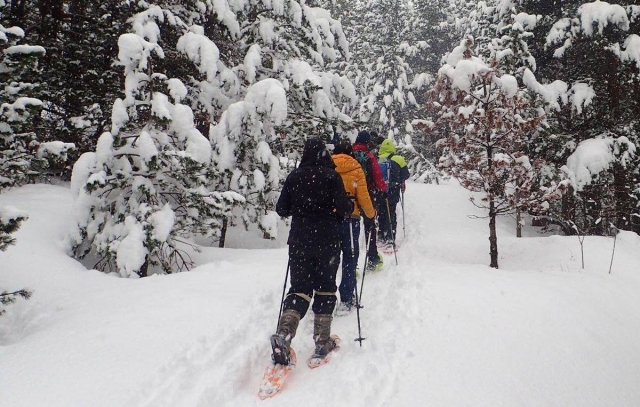 雪鞋徒步旅行 