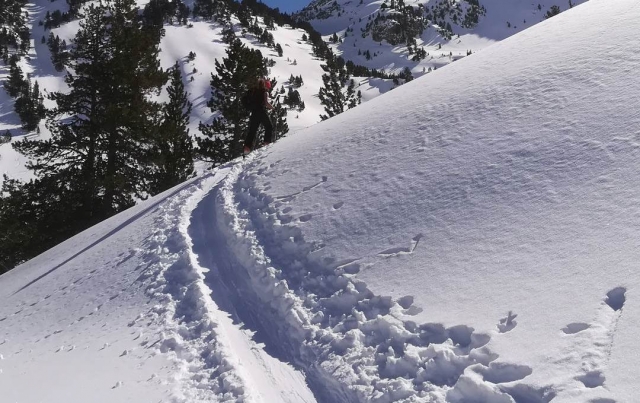  Path made with snowshoes 