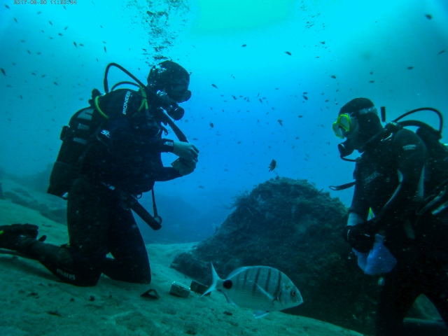  Subacquei accanto alle specie marine 