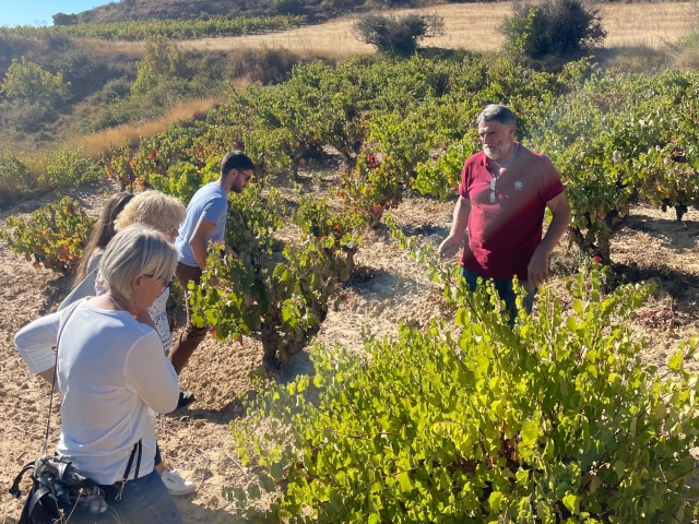  Explication dans les vignes 