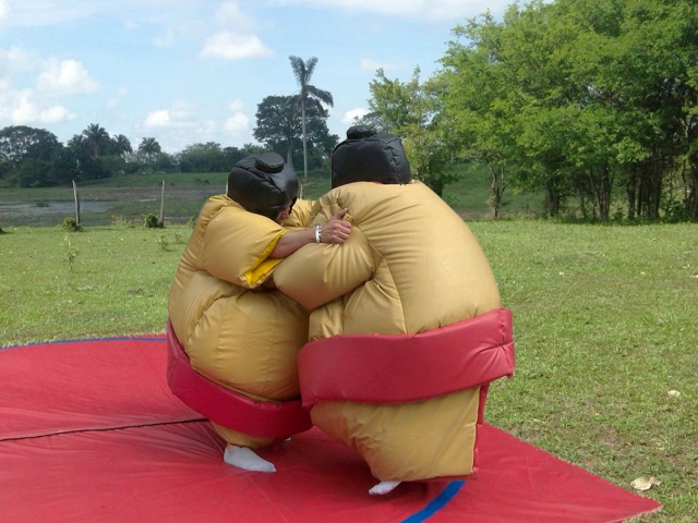 Sumo-Ringen 
