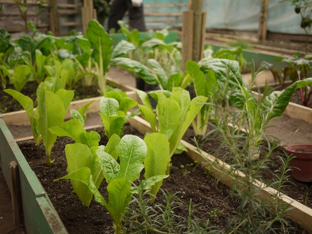 Taller en la huerta