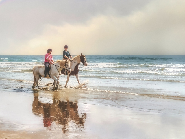 Paseo a caballo romántico