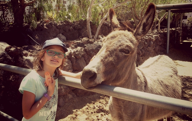 Chica con uno de nuestros animales