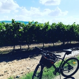 Ruta en bici por bodega y alojamiento en La Rioja