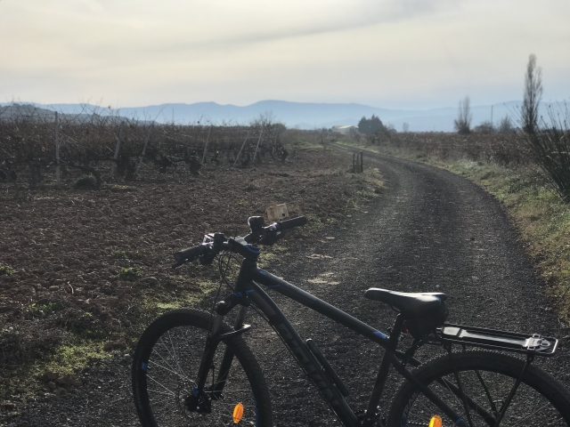  Mountain bike in mezzo alla strada 