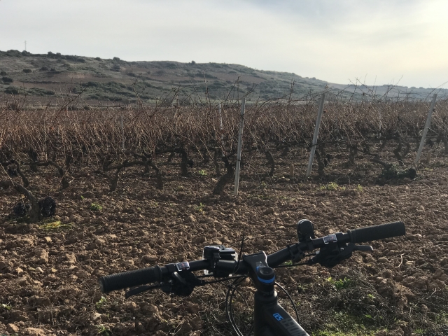 Bicicletta nella campagna della Rioja 