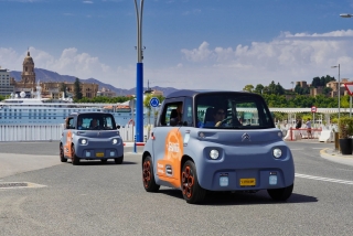 Elektroauto-Tour zur Burg Gibralfaro, 3 Stunden