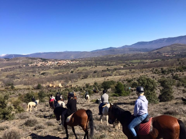  No caminho com os cavalos 
