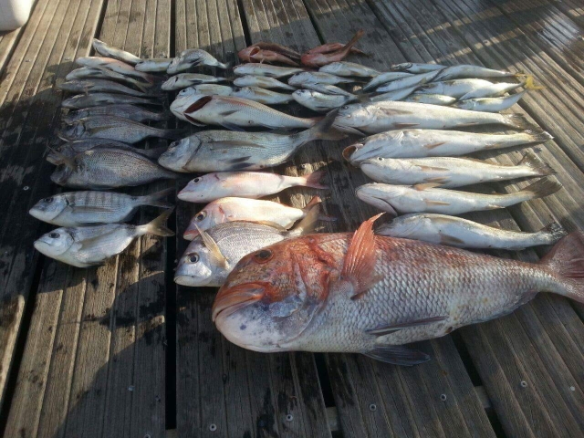 Pêche de fond 