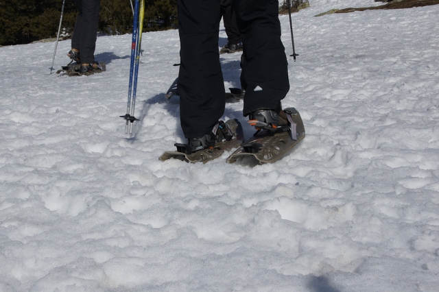  Schneeschuhe und Stöcke 