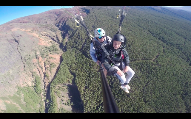  volare tra le foreste 
