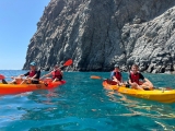 Ruta en kayak con delfines y tortugas Palm-Mar, 2h