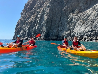 Ruta en kayak con delfines y tortugas Palm-Mar, 2h