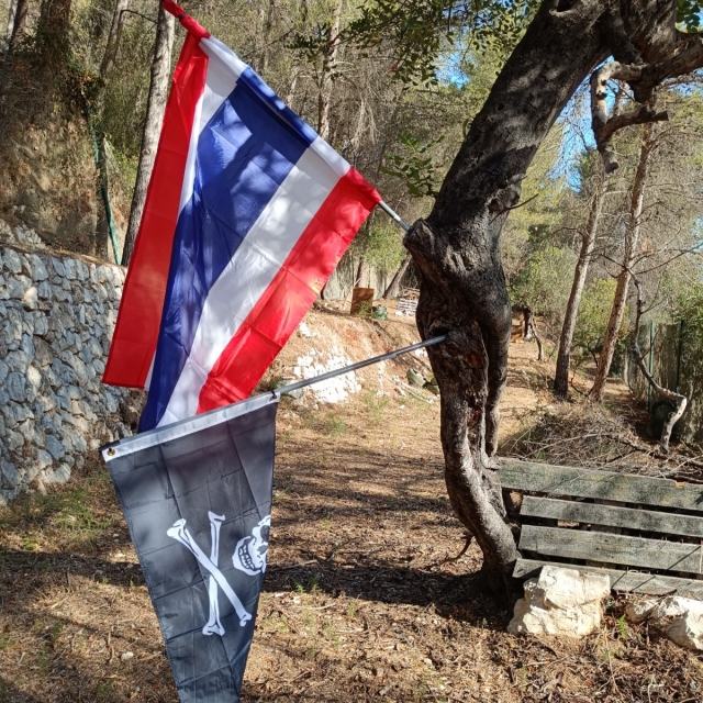  Games with Flags
