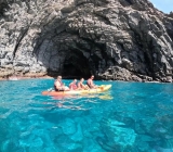 Ruta kayak delfines y tortugas Palm-Mar 2h, niños