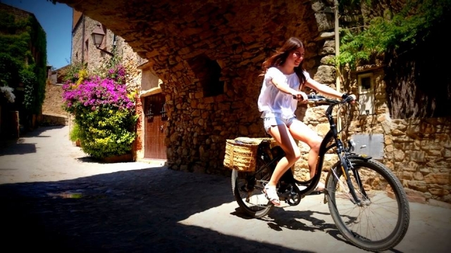  Medieval towns 