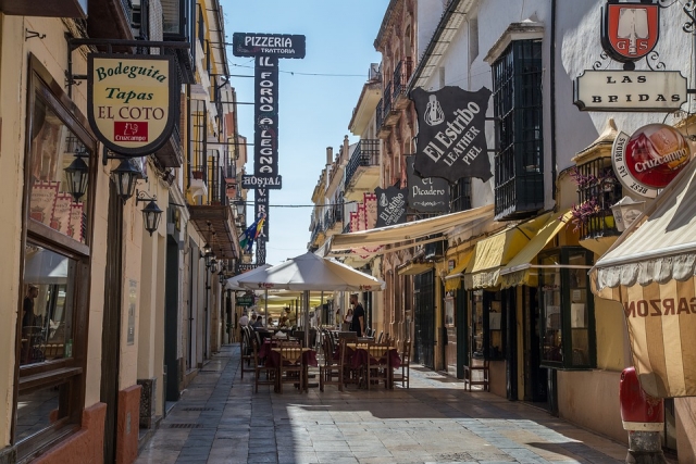 Guided tour of Malaga 