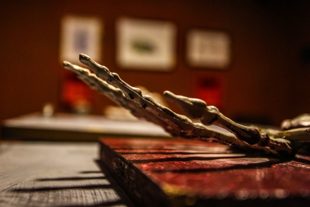  Ossa della mano 