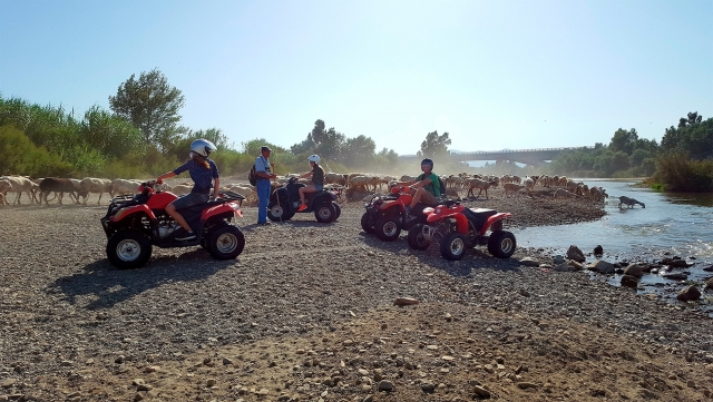Bordeando el rio 