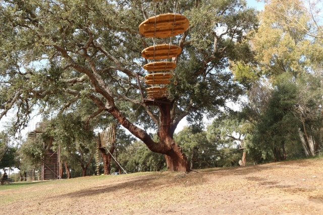 Puente de madera