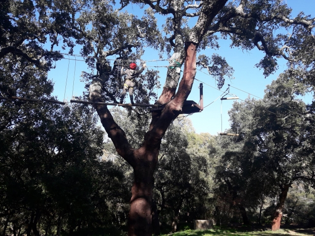 Tra gli alberi di Los Alcornocales 