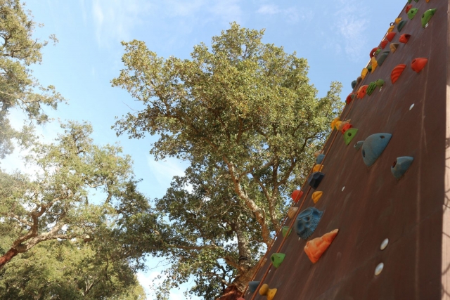  La nostra parete da arrampicata 