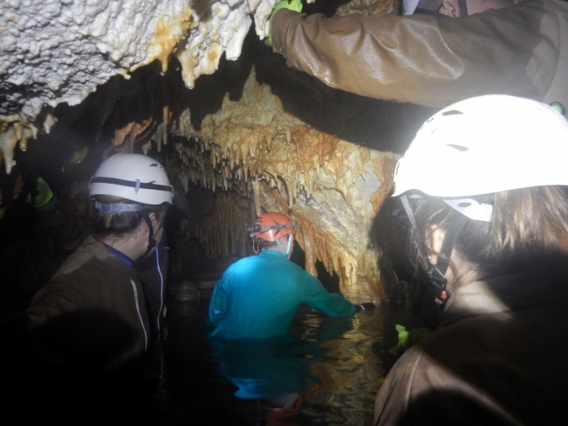  Section with water 