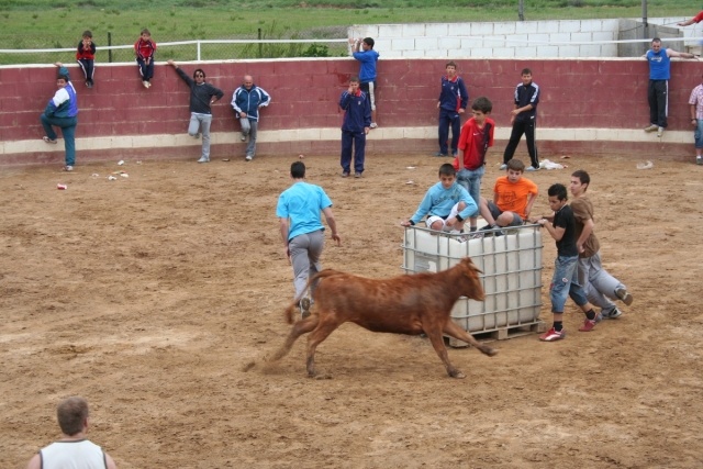  capea au sud de madrid 
